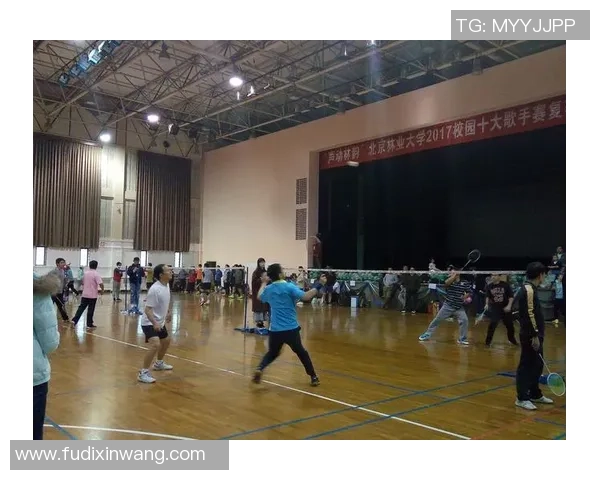 赛后分析:杭州羽毛球队与成都羽毛球队的战术意识与表现对比